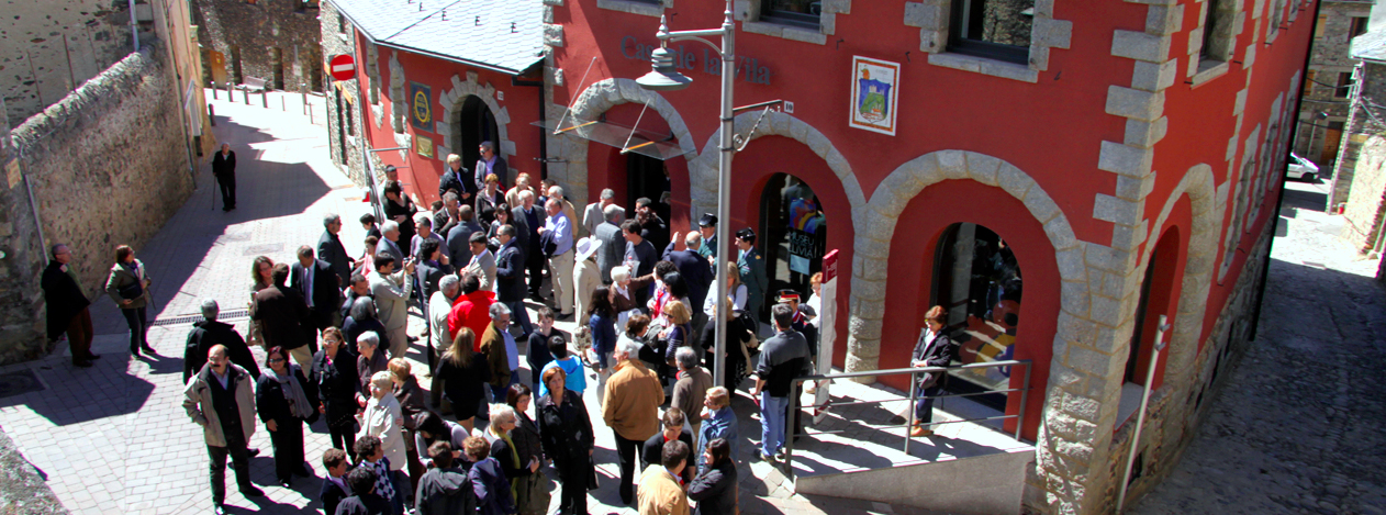 CONSULTA CIUTADANA