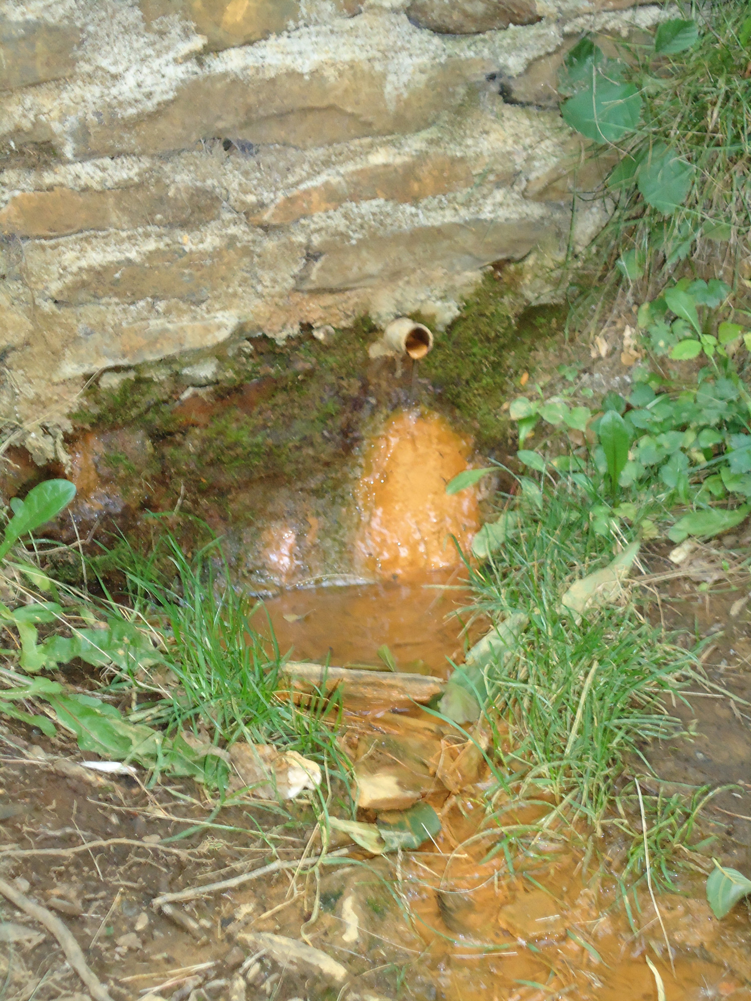 Ruta de les fonts