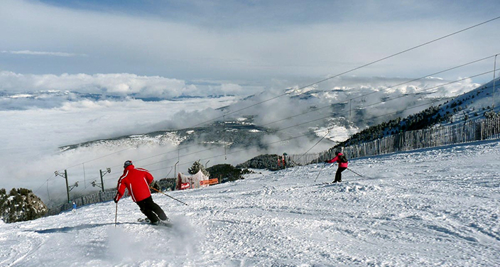 Masella