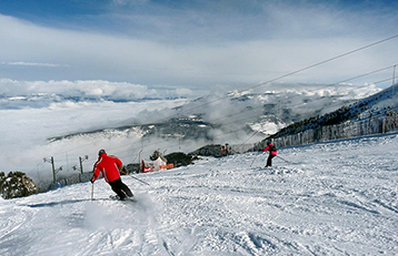 Masella